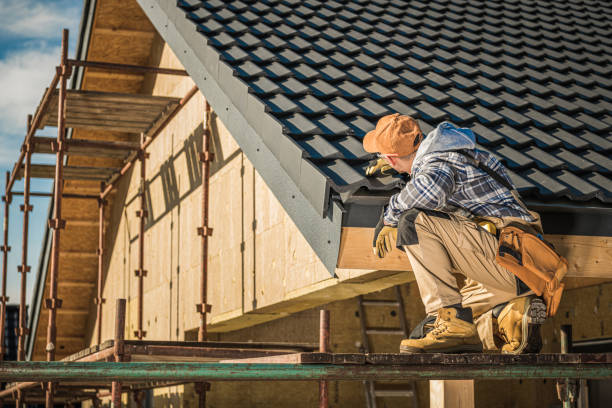Best Roof Moss and Algae Removal  in Belfast, ME