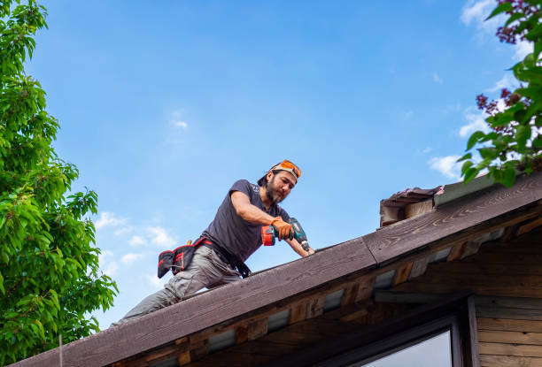 Best Roof Insulation Installation  in Belfast, ME